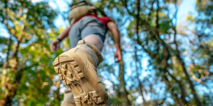 Szlak Książąt Mazowieckich: Podróż przez wieki historii